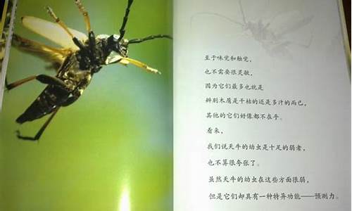 写关于昆虫的作文_写关于昆虫的作文100字