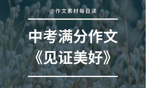 见证作文600字高中_见证作文600字高中生